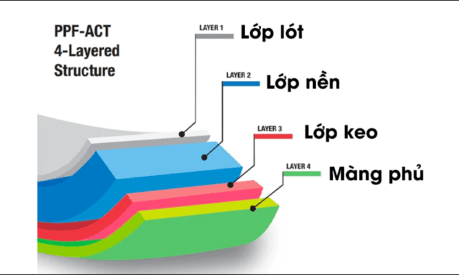 Cấu trúc của miếng dán PPF Laptop ASUS